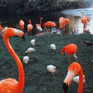 Meet your Posher, Brielle